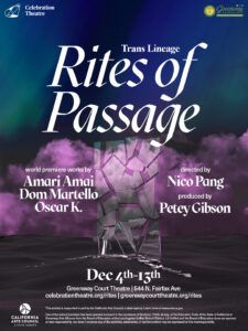Rites of Passage poster